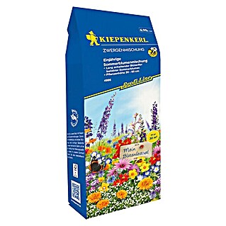 Kiepenkerl Profi-Line Blumensamenmischung (Zwergenmischung, Mehrfarbig, 30 m²)