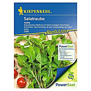 Kiepenkerl Profi-Line Salatsamen Salatrauken PowerSaat (Eruca sativa, Erntezeit: Ganzjährig, 0,6 g)