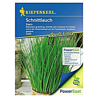 Kiepenkerl Profi-Line Kräutersamen Schnittlauch PowerSaat (Allium schoenoprasum, Saatzeit: April, Erntezeit: Ganzjährig)