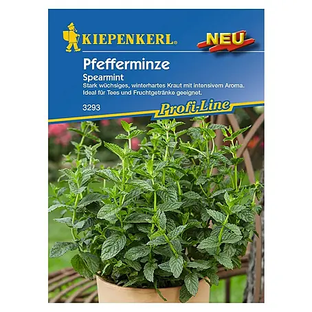 Kiepenkerl Profi-Line Kräutersamen Pfefferminze