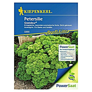 Kiepenkerl Profi-Line Gemüsesamen Petersilien PowerSaat (Petroselinum crispum, Saatzeit: Ganzjährig, Erntezeit: Juni)