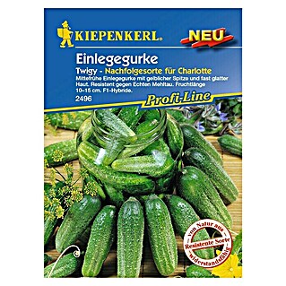 Kiepenkerl Profi-Line Gemüsesamen Einlegegurken (Cucumis sativus, Saatzeit: April, Erntezeit: Juli)