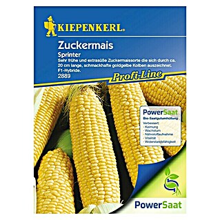 Kiepenkerl Profi-Line Gemüsesamen Zuckermais PowerSaat (Zea mays, Saatzeit: April, Erntezeit: August)