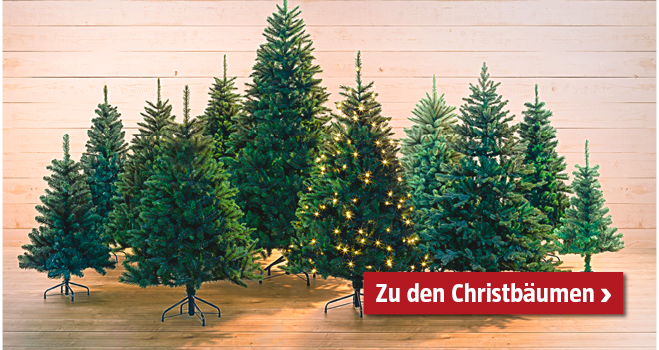 Teaser Christbäume