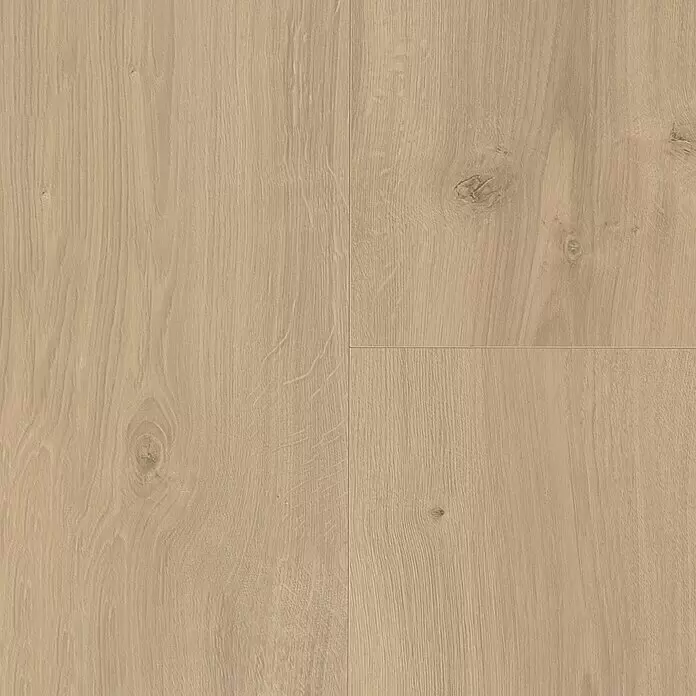 Parador Laminatmuster Basic 600 Eiche Avant geschliffen - 200 x 243 x 8 mm, Landhausdiele - Helle, natürliche Eichenholz-Bodenpaneele mit realistischer Maserung und sichtbaren Ästen.