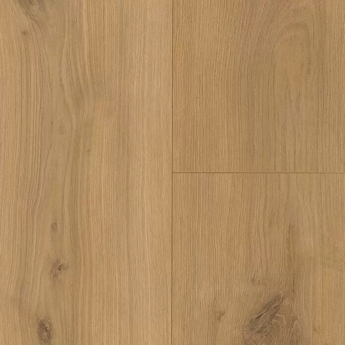 Parador Laminat Basic 600 - Eiche Horizont Natur, Landhausdiele, 1.285 x 243 x 8 mm - Helle braune Holzfußbodendielen mit natürlicher Maserung.