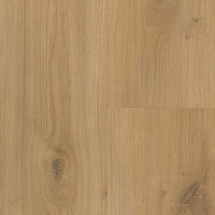 Parador Laminatmuster Basic 200 Eiche Horizont Natur - 200 x 194 x 7 mm, Landhausdiele - Nahaufnahme von Holzboden mit Maserung und Astlöchern, die die natürliche Schönheit des Holzes hervorheben.