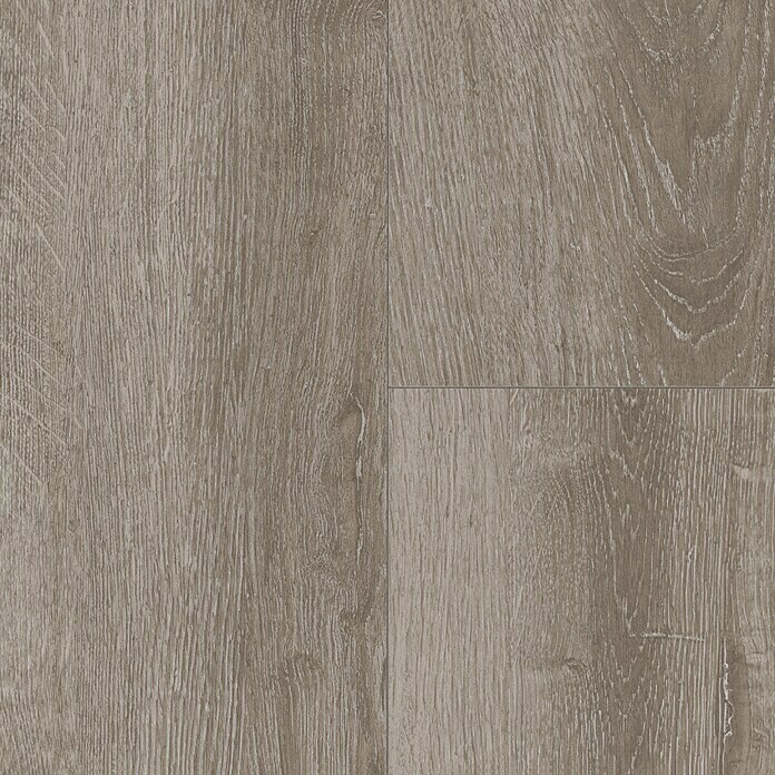 Parador Laminatmuster Basic 200 Eiche lichtgrau (200 x 194 x 7 mm, Landhausdiele) | BAUHAUS