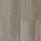 Parador Laminatmuster Basic 200 Eiche lichtgrau (200 x 194 x 7 mm, Landhausdiele) | BAUHAUS