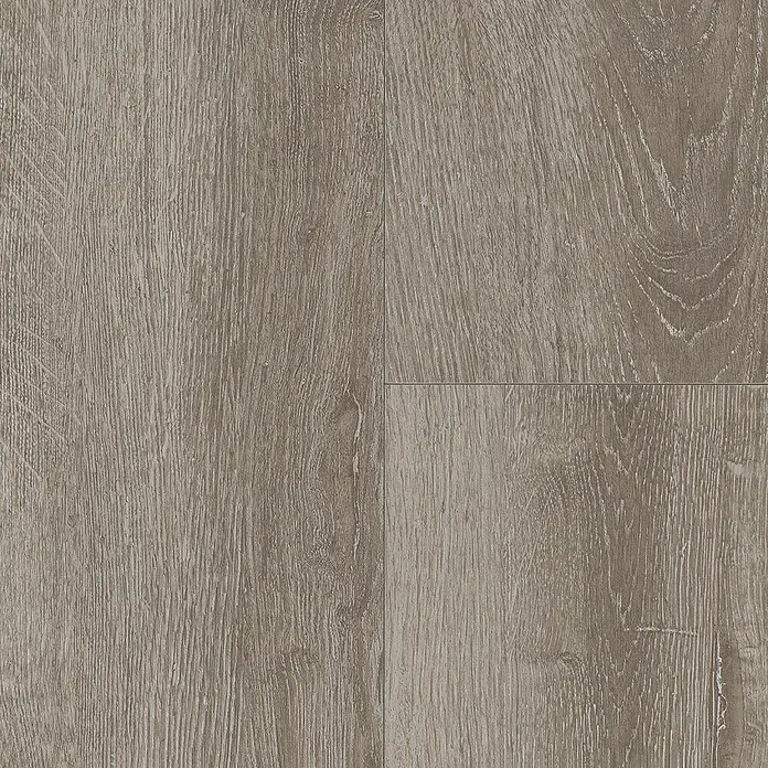 Parador Laminat Basic 200 M4V Eiche lichtgrau1.285 x 194 x 7 mm, Landhausdiele, Eiche lichtgrau - Nahaufnahme des Holzmusters, das die feinen Details und Texturen der Holzoberfläche hervorhebt.