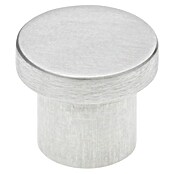 Siro Gumb za pohištvo  (Vrsta pohištvenega ročaja: Gumb, Ø x V: 18 x 15 mm, Jeklo, Srebrna) | 1150 - Möbelknöpfe und Griffe | AAEB - Möbelbeschläge | AAE - Beschläge | AA - Eisenwaren | A - Eisenwaren | BAUHAUS