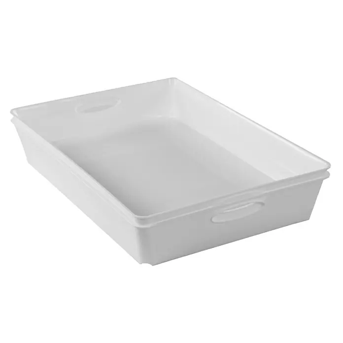 Rotho Aufbewahrungsbox Living - L x B x H: 37,5 x 27 x 6 cm, Kunststoff, Weiß - Weiße Kunststoff-Aufbewahrungsbox mit praktischen Griffen für einfache Handhabung und vielseitige Einsatzmöglichkeiten im Haushalt.