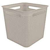 Rotho Aufbewahrungsbox Brisen (L x B x H: 29,1 x 29,1 x 28,1 cm, Polypropylen, Cappuccino)