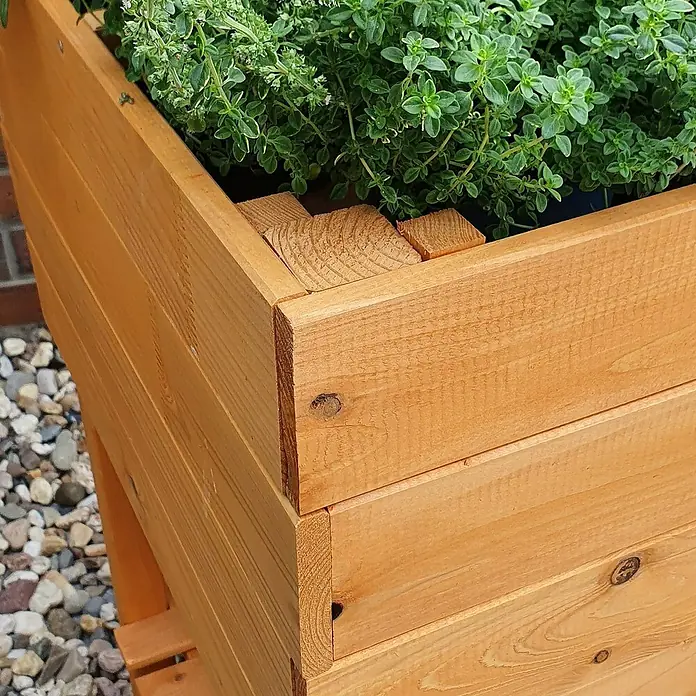 Promadino Kräuterhochbeet - L x B x H: 100 x 50 x 80 cm, Honigbraun - Nahaufnahme eines hölzernen Hochbeets mit üppigen grünen Pflanzen, ideal für den Gartenanbau auf kleinem Raum.