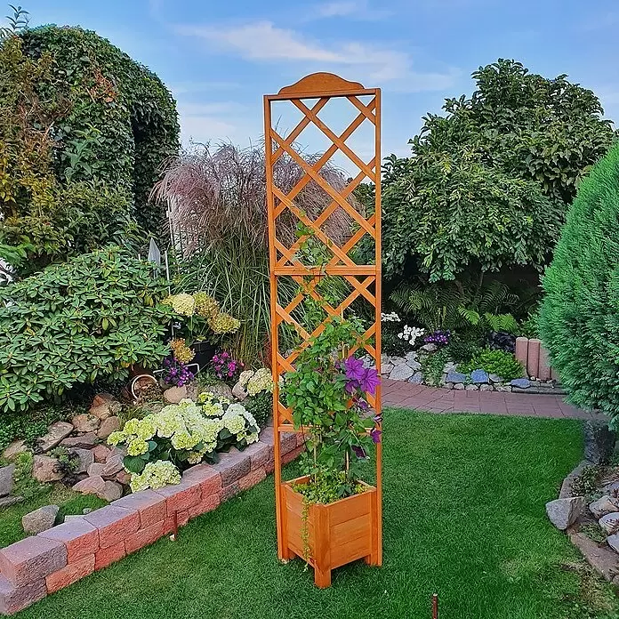 Promadino Pflanzkasten Botanica - Außenmaß (L x B x H): 47 x 45 x 210 cm, Holz, Braun - Hölzernes Gartenspalier mit integriertem Pflanzkasten, mit lila Clematis, in einem grünen Garten.
