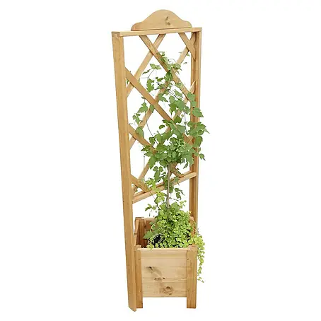 Promadino  Pflanzkasten Botanica