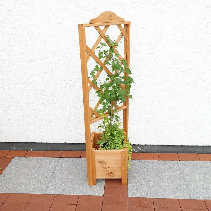 Promadino Pflanzkasten Botanica - Außenmaß (L x B x H): 47 x 45 x 140 cm, Holz, Braun - Pflanzenkasten mit Rankgitter aus Holz. Der Kasten beinhaltet eine Pflanze mit nach oben wachsenden Ranken vor einer weißen Wand.