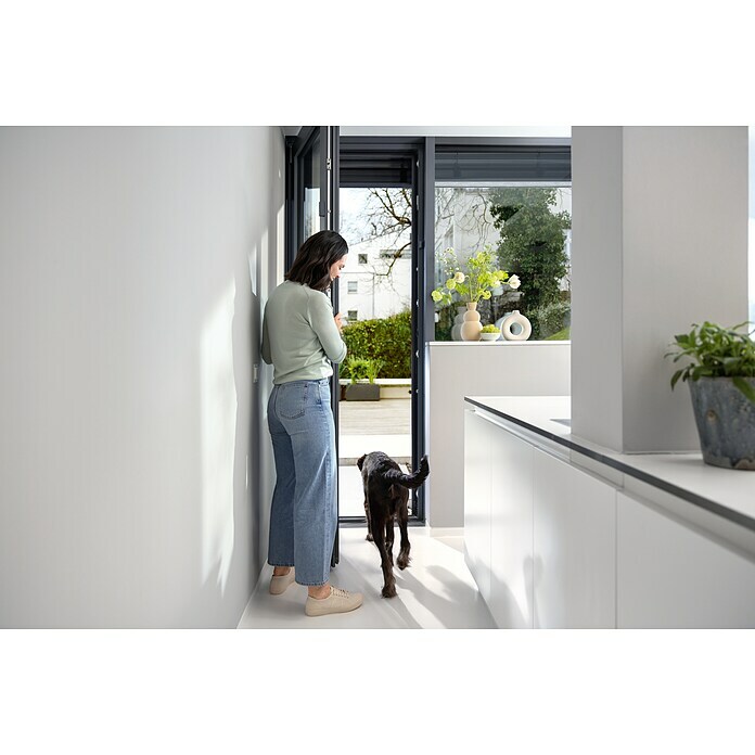 Bosch Smart Home Funk-Fensterkontakt II Plus (Anthrazit, Batteriebetrieben, 23 x 22 x 75 mm, 1 Stk.) | BAUHAUS