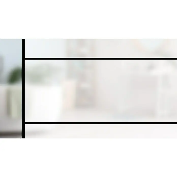 Diamond Doors Black Edition Glasdrehtür Lines - 834 x 1.972 mm, DIN Rechts, Milchglas - Nahaufnahme einer Pflanze in einem weißen Topf, eingefangen in einem minimalistischen, modernen Stillleben.