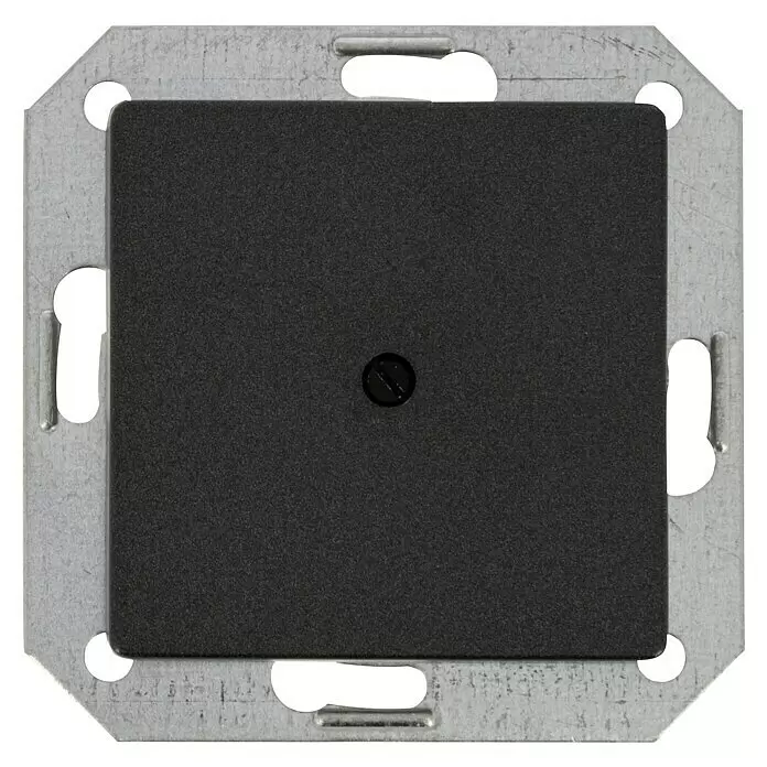 Siemens DELTA Mega Blindabdeckung SIE039536 - Carbon Metallic, Glänzend, Kunststoff, Unterputzmontage - Schwarzes Modul mit Mittelschraube auf grauem Metallmontagerahmen.