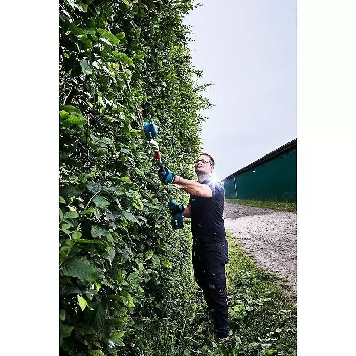 Makita LXT 18V Akku-Heckenschere DUN500WZ - 18 V, Li-Ionen, Ohne Akku - Mann in schwarzer Kleidung und Schutzbrille schneidet eine hohe grüne Hecke mit einer blauen und schwarzen Makita Heckenschere.