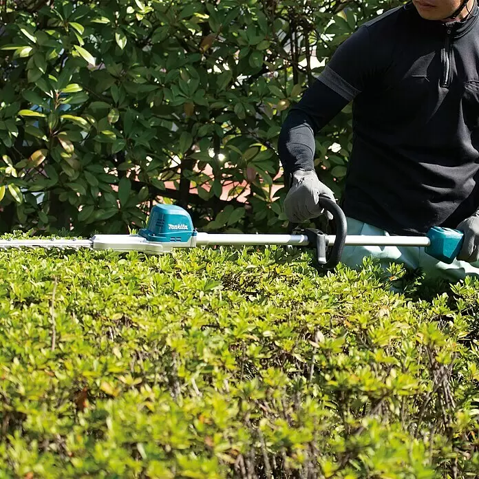 Makita LXT 18V Akku-Heckenschere DUN600LZ - 18 V, Li-Ionen, Ohne Akku - Eine Person trimmt eine grüne Hecke mit einer türkisfarbenen und schwarzen Makita Heckenschere mit silbernen Klingen.