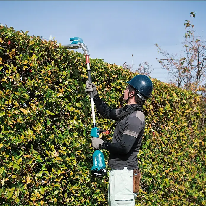 Makita LXT 18V Akku-Heckenschere DUN500WZ - 18 V, Li-Ionen, Ohne Akku - Ein Mann trimmt eine Hecke mit einer Makita Akku-Heckenschere für den Garten. Das Gerät ist leistungsstark und ideal für den Heckenschnitt.