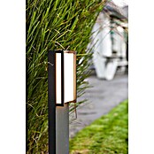 Lutec LED-Außenwegleuchte (Höhe: 11 cm, Anthrazit, Warmweiß)