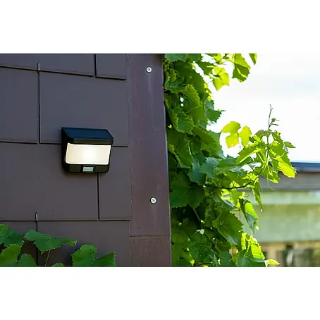 Lutec  LED-Sensor-Außenwandleuchte