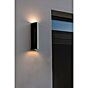 Lutec LED-Außenwandleuchte Leo (14,5 W, 8,8 x 6,6 x 30 cm, Anthrazit, IP54) | BAUHAUS