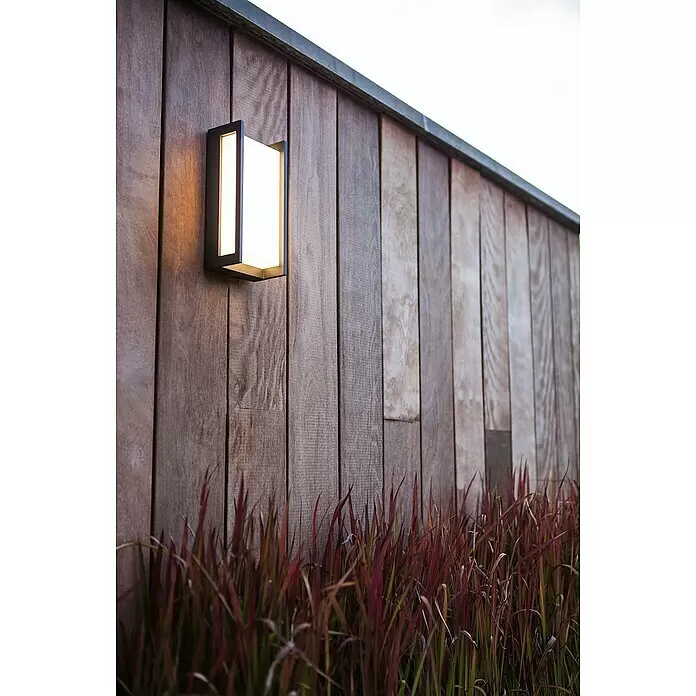 Lutec Qubo Aplique exterior LED Qubo - 17,3 W, 7,1 x 11 x 22 cm, Antracita, IP54 - Moderna lámpara de pared exterior negra iluminada en una pared de lamas de madera sobre hierba ornamental roja.