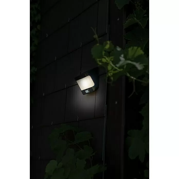 Lutec LED-Sensor-Außenwandleuchte - 8 W, L x B x H: 6,9 x 12,5 x 11,8 cm, Schwarz, Neutralweiß - Stimmungsaufnahme