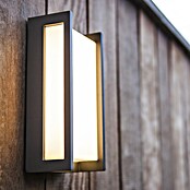 Lutec Aplique exterior LED Qubo (18 W, Blanco cálido)