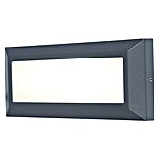 Lutec LED-Außenwandleuchte Helena (11 W, 3,2 x 23 x 10,1 cm, Anthrazit, IP54) | BAUHAUS