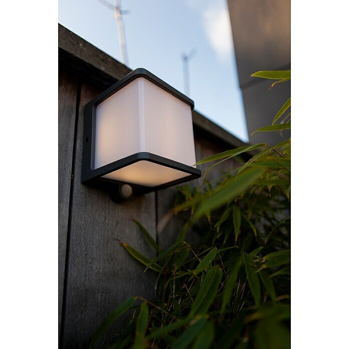 Lutec LED-Solar-Außenwandleuchte DOBLO (Bewegungsmelder, Neutralweiß, cm) 11 11 Anthrazit, 12,9 BAUHAUS | x x
