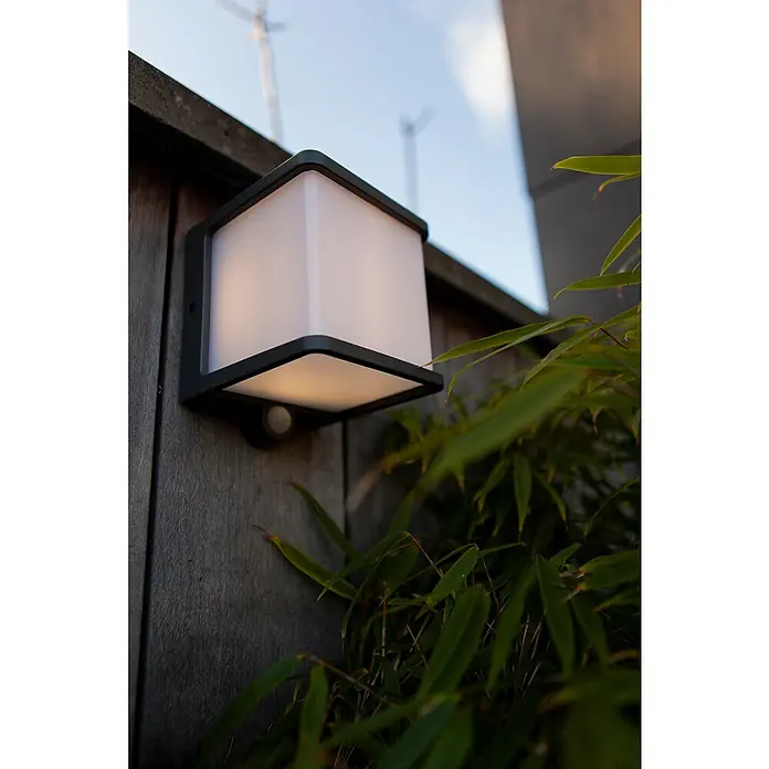 Lutec Doblo Solar-Außenwandleuchte - 7,5 W, L x B x H: 12,9 x 11 x 11 cm, IP54, 500 lm - Eine quadratische Außenleuchte mit Bewegungsmelder an einer Holzwand, umgeben von grünen Bambusblättern, spendet warmes Licht.
