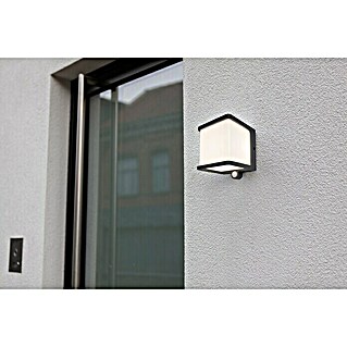 Lutec LED-Solar-Außenwandleuchte DOBLO (Bewegungsmelder, Neutralweiß, Anthrazit, 12,9 x 11 x 11 cm)