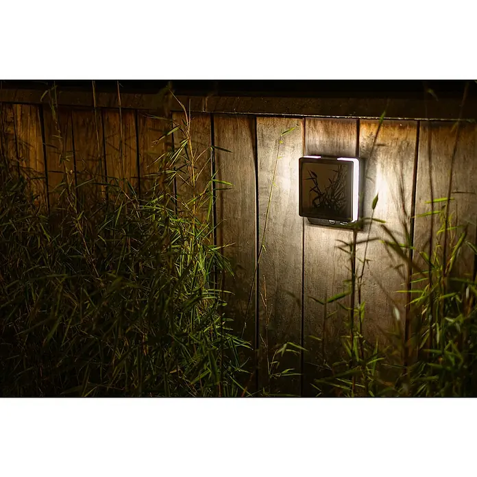 Lutec Solar-Außenwandleuchte Moze - 8 W, L x B x H: 19,5 x 14 x 15 cm, Schwarz matt, IP44, 1.000 lm - Wandleuchte mit quadratischem Design, beleuchtet eine Holzwand und wird von Bambuspflanzen umrahmt.