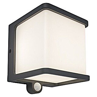 Lutec Solarna vanjska zidna LED svjetiljka (7,5 W, Aluminij, Neutralno bijelo, Antracit, D x Š x V: 12,9 x 11 x 11 cm)