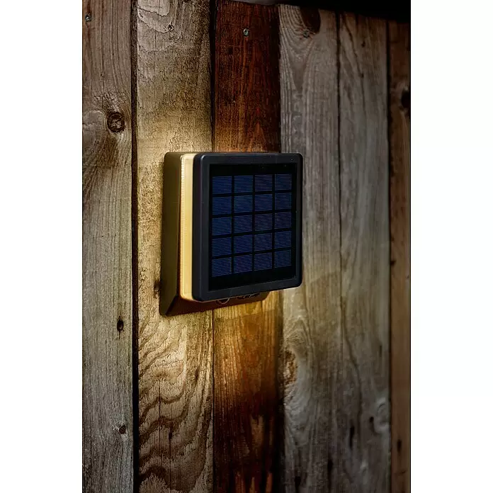 Lutec Solar-Außenwandleuchte Moze - 8 W, L x B x H: 19,5 x 14 x 15 cm, Schwarz matt, IP44, 1.000 lm - Stimmungsaufnahme