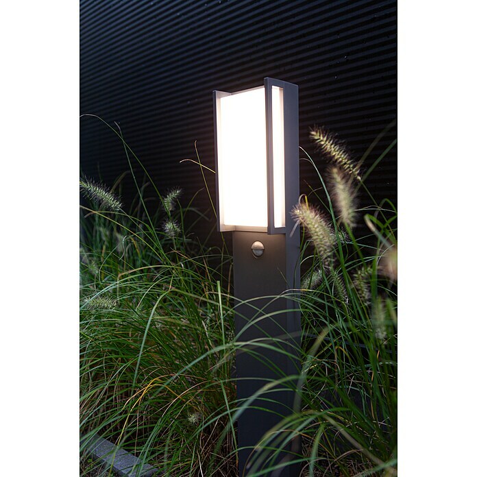 Lutec Qubo LED-Außenwandleuchte BAUHAUS 27 11 W, Anthrazit, x (14 10,6 IP54, | Bewegungsmelder) x cm