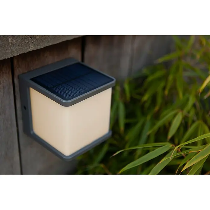 Lutec Doblo Solar-Außenwandleuchte - 7,5 W, L x B x H: 12,9 x 11 x 11 cm, IP54, 500 lm - Nahaufnahme einer würfelförmigen Solarleuchte an einer Holzwand, die warmes Licht ausstrahlt und von grünen Pflanzen umgeben ist.