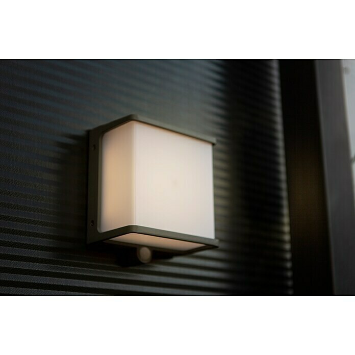 Lutec LED-Solar-Außenwandleuchte DOBLO (Solarzelle, Aluminium, Neutralweiß,  Anthrazit, 15 x 8,9 x 17 cm) | BAUHAUS