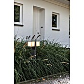 Lutec Cuba LED-Wegeleuchte (Höhe: 75 cm, Neutralweiß) | BAUHAUS