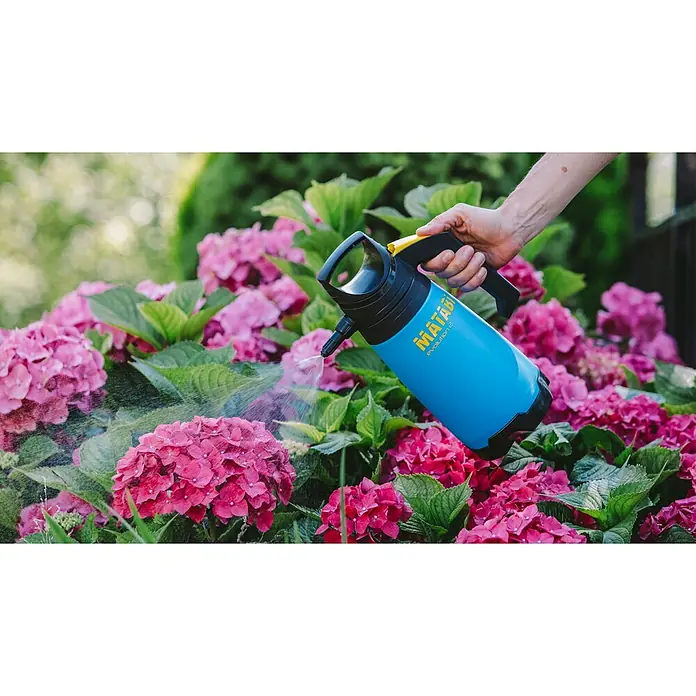 Matabi Sulfatadora Evolution 2 - Plástico - Primer plano de un pulverizador a presión azul MÄTÄBI Evolution 2 rociando frente a un fondo de flores de hortensia rosas.