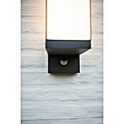 Lutec Cuba LED-Außenwandleuchte (13 W, 14,6 x 9,3 x 30,8 cm, Anthrazit, IP54) | BAUHAUS