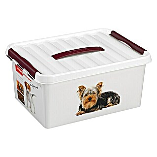 Sunware Futterbox Q-Line (L x B x H: 40 x 30 x 18 cm, Kunststoff, Hunde)