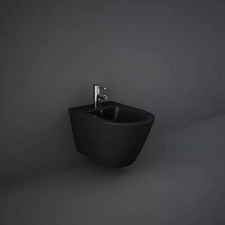 RAK Ceramics Feeling Wand-Bidet