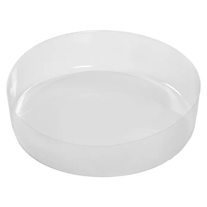 Versa Paragüero Perro - Ø x Al: 19 x 49 cm, Gris - Primer plano de un cuenco redondo transparente vacío, ideal para exhibir alimentos o artículos decorativos.