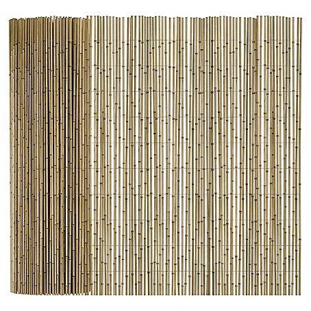 T & J Schilfrohrmatte Sylt (600 x 160 cm, Geeignet für: Sichtschutz)